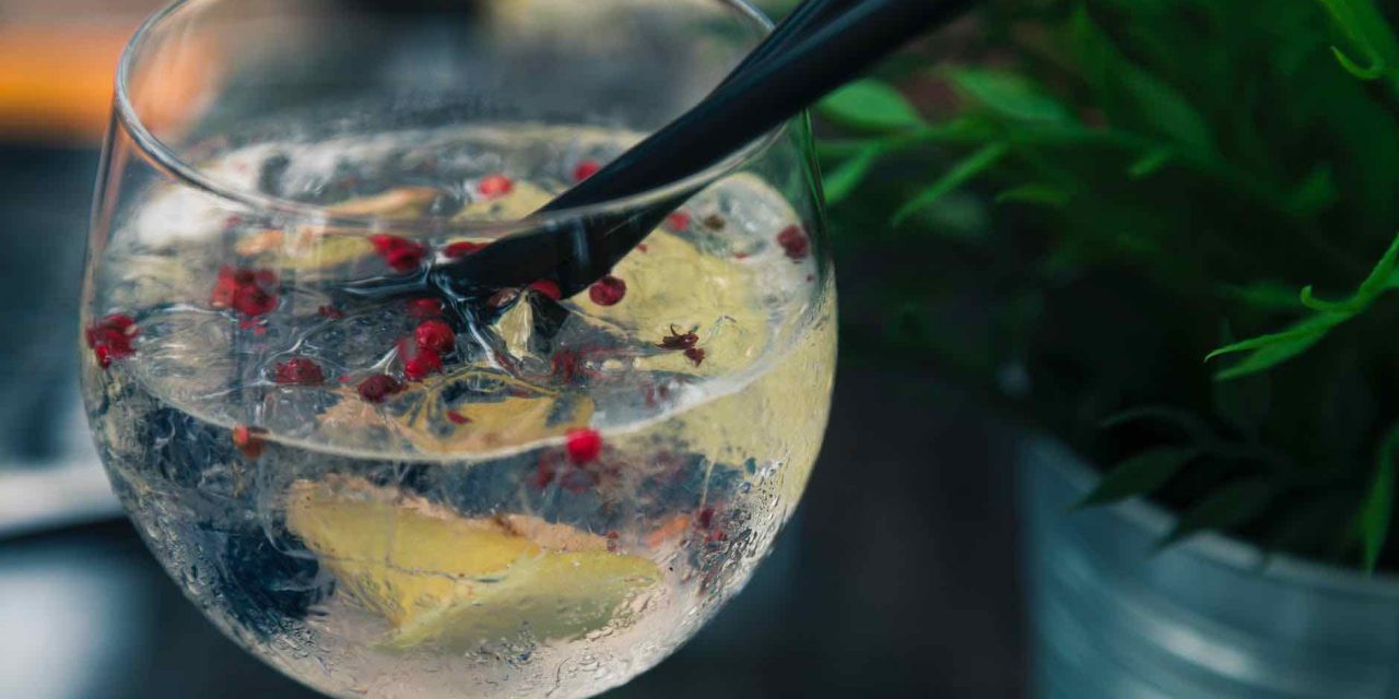 Gin tonic 5x jinak: připravte si úžasný osvěžující drink