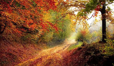 10 krásných míst, která navštívit na podzim
