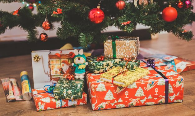 Hledáte dárky na poslední chvíli? Máme pro vás nejlepší vánoční tipy!